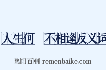 人生何處不相逢反义词是什么意思的图片